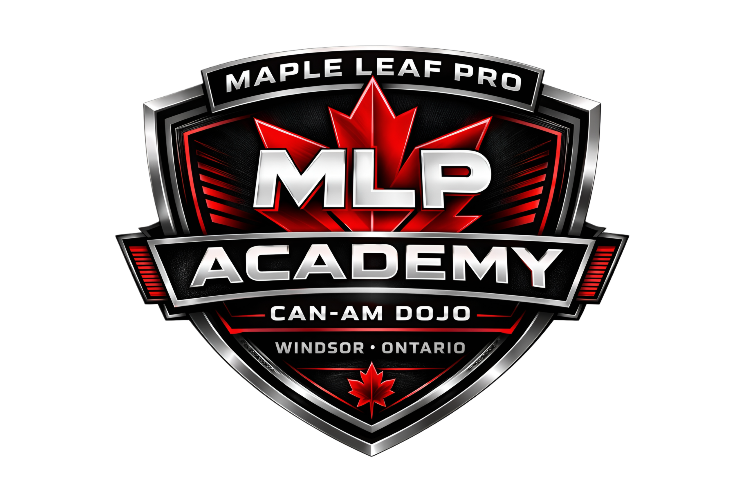Applications are open for the October 2026 class at MLP Academy in Windsor, Ontario.